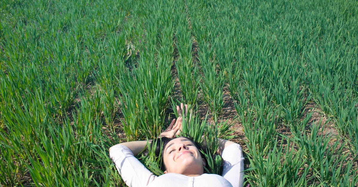 découvrez le plaisir sous toutes ses formes : sensations, saveurs, et moments de bonheur. plongez dans un univers où chaque instant est une célébration de la vie, et apprenez à savourer chaque expérience. explorez nos conseils pour intensifier vos plaisirs au quotidien.