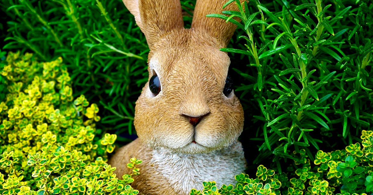 découvrez l'univers fascinant des lapins : comportements, soins et conseils pour bien les élever. apprenez tout sur ces animaux doux et espiègles, parfaits compagnons pour toute la famille.
