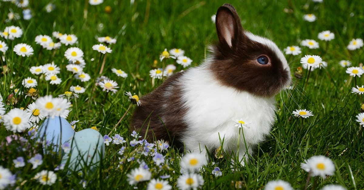 découvrez notre gamme de rabbit vibrators, des incontournables pour des moments de plaisir inégalés. profitez de leurs designs ergonomiques et de leurs multiples fonctions pour une stimulation parfaite, que vous soyez débutante ou experte. explorez de nouvelles sensations et laissez-vous séduire par ces compagnons intimes!