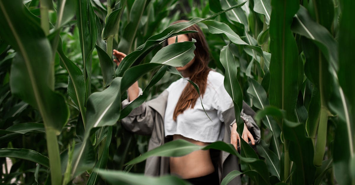 découvrez les plaisirs intenses avec nos culottes vibrantes. parfaites pour pimenter vos moments à deux ou pour une expérience sensuelle en solo. laissez-vous emporter par des sensations inédites et osez l’audace avec notre sélection de vêtements intimes innovants.