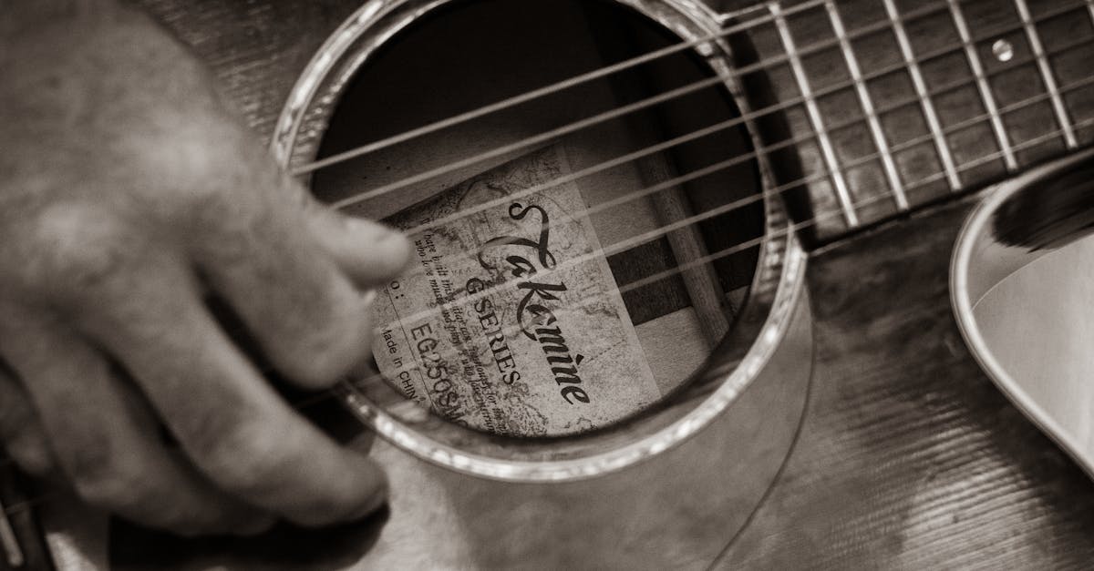 découvrez le vibrato, une technique essentielle en musique qui ajoute expression et profondeur aux notes. apprenez comment maitriser cet effet vocal pour enrichir vos performances et captiver votre audience.