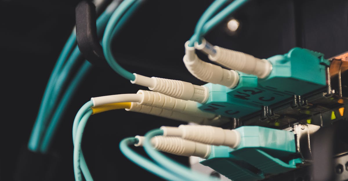 découvrez tout ce que vous devez savoir sur le plug anal : conseils d’utilisation, choix du modèle adapté, précautions à prendre pour une expérience intime agréable et sécurisée.