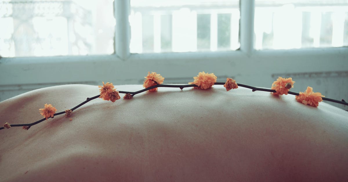 découvrez les bienfaits du massage : détente, relaxation et bien-être pour le corps et l’esprit. choisissez la technique adaptée à vos besoins et offrez-vous un moment de soin personnalisé.