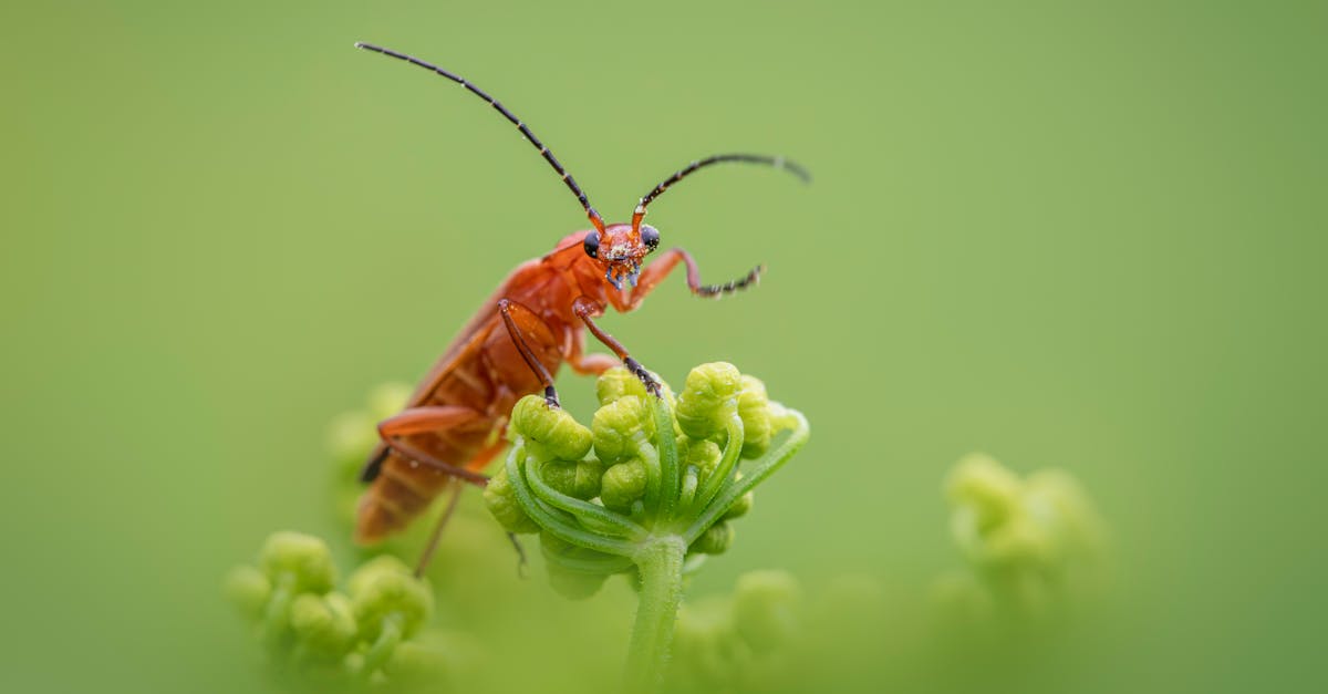 découvrez les lubrifiants naturels : des solutions saines et efficaces pour améliorer votre confort intime, respectueuses de votre corps et de l’environnement.
