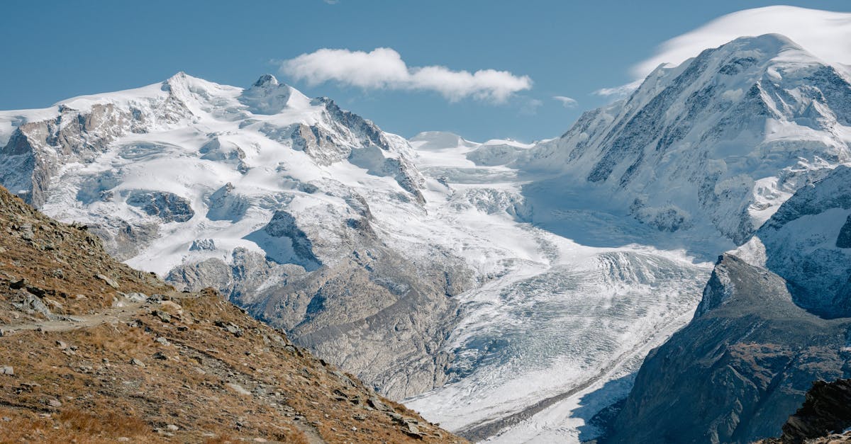découvrez le voyage sensoriel : explorez le monde à travers vos cinq sens, vivez des expériences immersives uniques et laissez-vous transporter par de nouvelles sensations lors de vos aventures.
