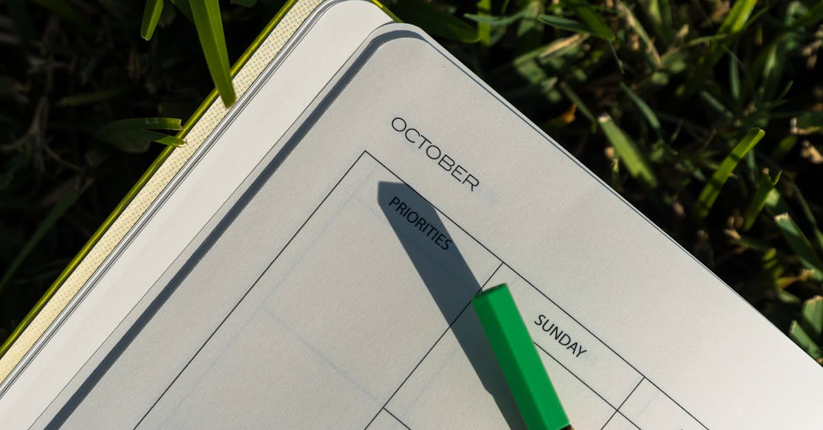 découvrez comment allier plaisir et durabilité grâce à des choix responsables dans votre quotidien, pour un avenir plus respectueux de l’environnement.