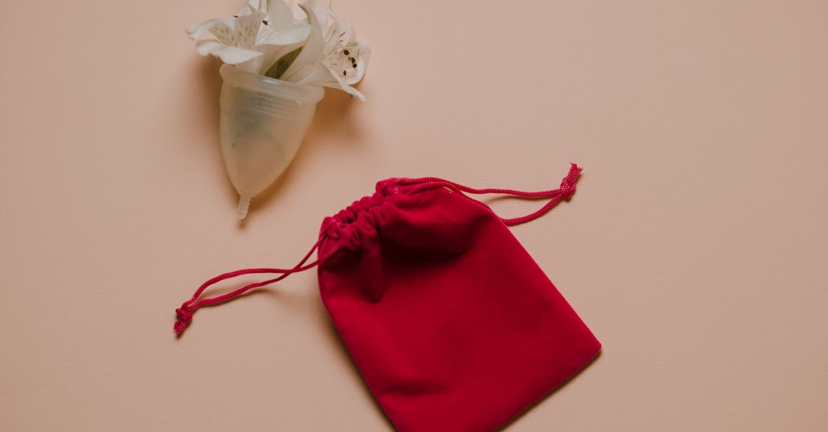 découvrez tout ce qu'il faut savoir sur l'orgasme vaginal : explications, différences avec d'autres types d'orgasme, conseils pour mieux le comprendre et l'atteindre.