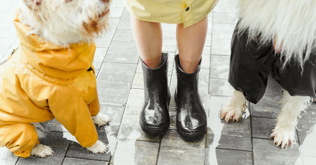 découvrez tout ce qu'il faut savoir sur le waterproof : définition, avantages et conseils pour choisir des produits résistants à l'eau pour vos besoins quotidiens.